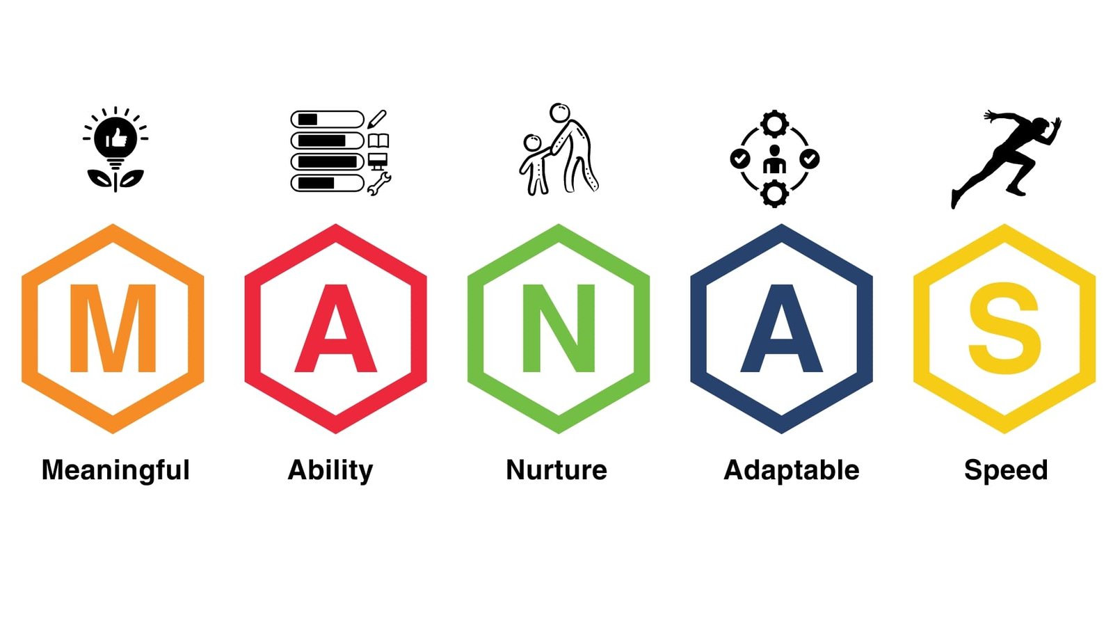 About Services